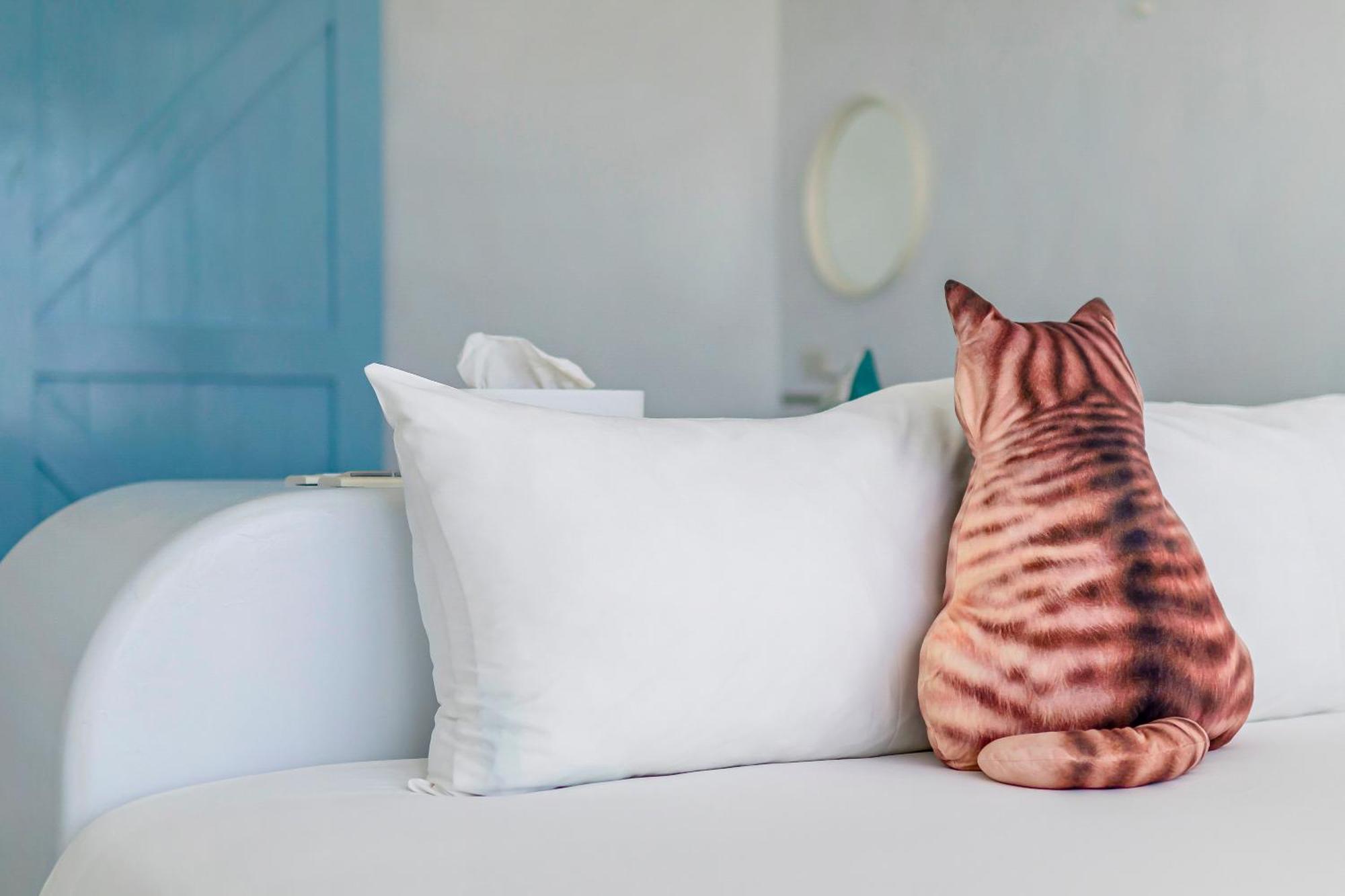 Cat At Greece Bed and Breakfast Nanwan Exteriör bild